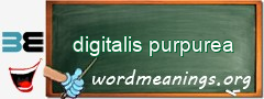 WordMeaning blackboard for digitalis purpurea